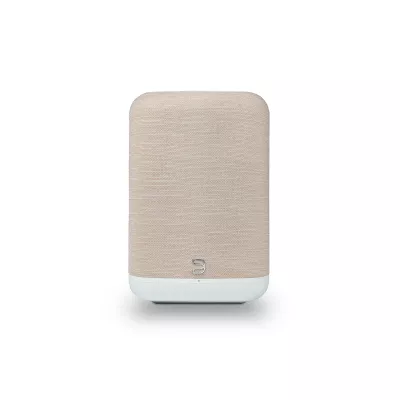 Bluesound Pulse Flex P130 a Ginevra | Digistore.ch